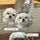 꿈꾸는니들공방 이미지