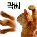 산해숯불갈비 이미지