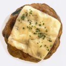 도기얌얌 이미지