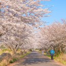 동길주유소 이미지