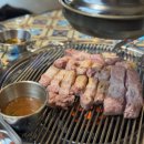 제주(도로의)도피