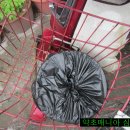 등대식당 Daum카페