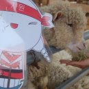 삼광자원 이미지