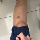 GS25 범어경민점 | 보호자로 하루 함께 하기