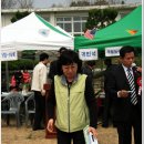 금진초등학교 이미지