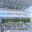 인테리어드워프 | 2026 관상어 파충류 박람회 후기｜햄찌네 부스부터 해파리 전시까지 볼거리 가득했던 리뷰