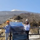 나비마트 | 진에어 나비포인트 제주도 아이와 2박3일 뚜벅이여행 일정 코스 경비 꿀팁까지