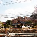 수원-1891 이미지