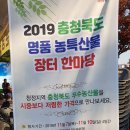 충북장터
