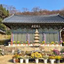 개심사입구 주차장 | 서산 개심사 : 왕벚꽃과 청벚꽃이 만개하는 마음을 여는 절 국내 유일의 초록색 벚꽃 명소