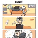 카란 이미지