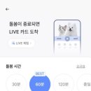 강아지 와요와요 이미지
