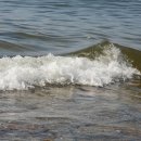 오이도종합어시장 이미지