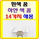 백마자동차 이미지