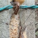 상갈초등학교 이미지