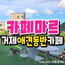 오렌지곰카페 | 거제애견동반카페 마르 잠자는아빠곰, 오렌지쥬스 솔직후기