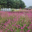 죽산근린공원 이미지