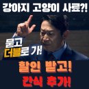 도그마캣대구