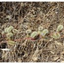 부귀카센타 이미지