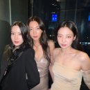 호정 이미지