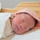 라임산후조리원 이미지