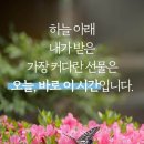 오늘 내개 이미지