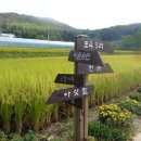 도곡3리 마을회관 이미지