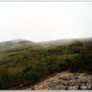 샘물화원 - 평택시 구룡길 52-7 | 샘물화원
