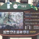 김말례 농장 Daum카페