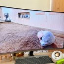 제주 효소찜질 피부관리부터 건강관리까지 아토피 여드름 고민 있다면 금화효소원 추천