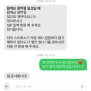 착한 고양이 | 송탄 평택 고양이 미용 가격도 착한 함께냥 평택점 후기