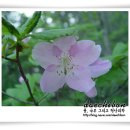 본디올대치한의원 이미지