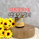강원벌꿀농원
