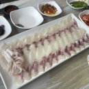 자갈치시장회맛집 부산가성비횟집 &#39;영도상회 남포점&#39; (ft. 연예인도 반한 맛집)
