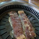 솔향왕갈비