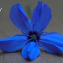 어양동-09 이미지