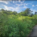 운주산농장 이미지