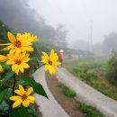 성곡1리경로당 이미지