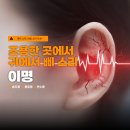 송도센트럴이비인후과의원 | 송도동 이비인후과 조용한 곳에서 귀에서 삐 소리 들린다면 이명