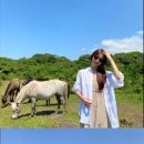 타코코 이미지