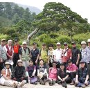 축령산아침 이미지