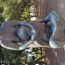 대천보건진료소 이미지