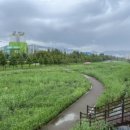 신평동1143 이미지