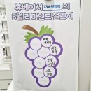 태양약국 이미지