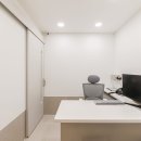 내몸에 건강이야기 | 고양이 간 건강 이야기 보호자님이 꼭 알아야 할 질환을 알려드립니다.