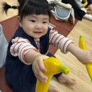 한솔할인마트 | 홈플러스 시흥점 플레이오감도담베베 가을학기 수강후기