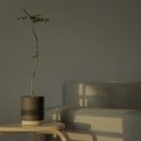 이즈디자인 티스토리