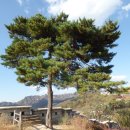 세종회관 이미지