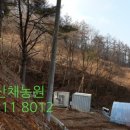 채농원 이미지