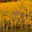 예산읍011 이미지